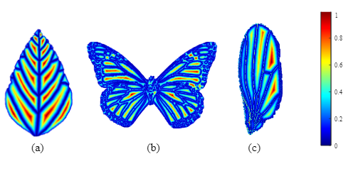 Patchy Image Structure Classification Using Multi-Orientation Region Transform