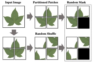 MaskCOV: A Random Mask Covariance Network for Ultra-Fine-Grained Visual Categorization