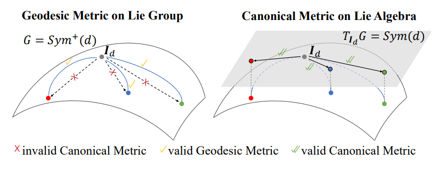 Self-Supervised Lie Algebra Representation Learning via Optimal Canonical Metric