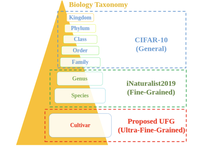 Benchmark Platform for Ultra-Fine-Grained Visual Categorization Beyond Human Performance